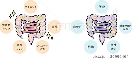 大腸のイラスト素材
