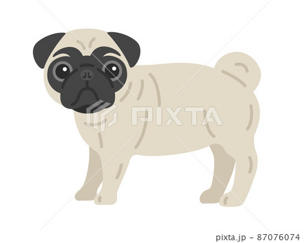 パグのイラスト素材集 ピクスタ