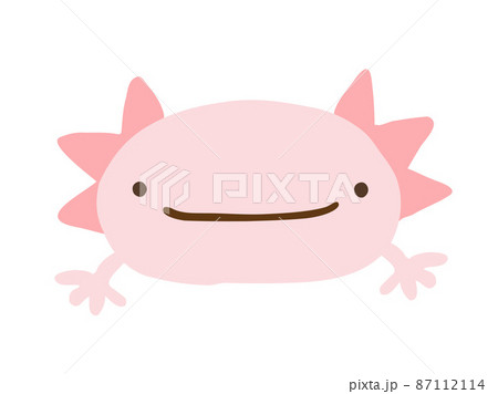 サンショウウオのイラスト素材