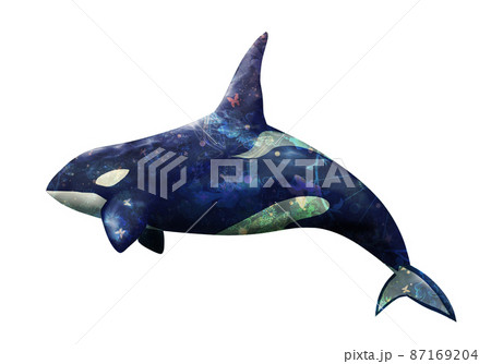 水中 海中 海 イルカのイラスト素材