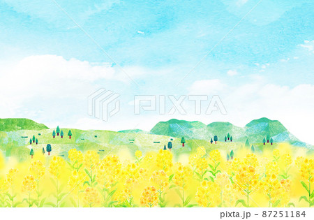 菜の花のイラスト素材集 ピクスタ