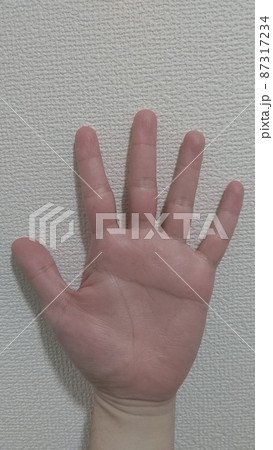 天下取りの手相の写真素材