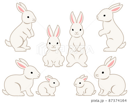 うさぎ 横向き イラスト 白バックのイラスト素材