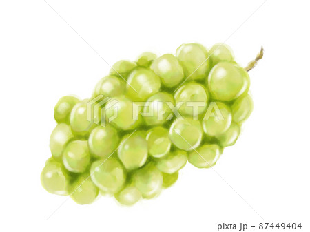 ぶどう イラスト 葡萄 手描きのイラスト素材