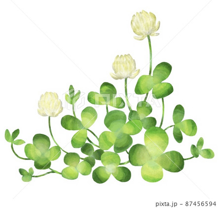 四つ葉のクローバーのイラスト素材集 ピクスタ