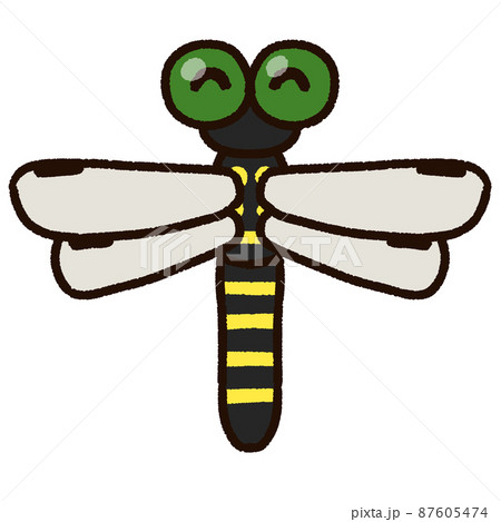 いきもの 虫 蜻蛉 トンボのイラスト素材