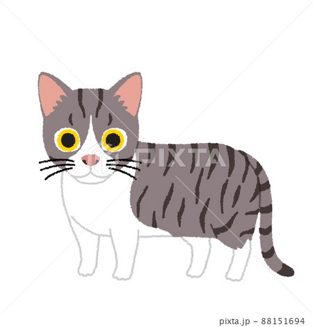 マンチカンのイラスト素材