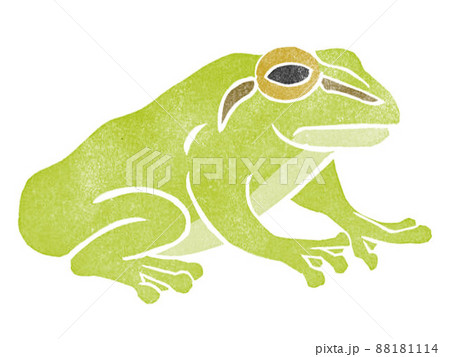 カエル 蛙 両生類 アマガエルのイラスト素材