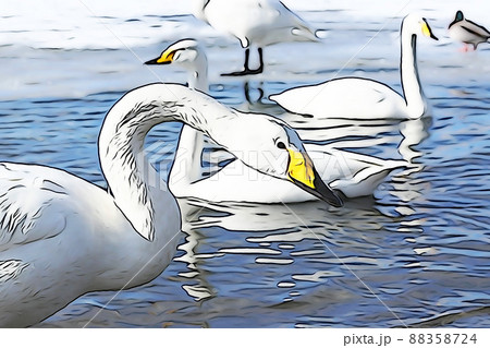 白鳥のイラスト素材集 ピクスタ