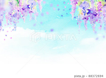 フジ 藤の花 藤 綺麗のイラスト素材