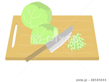 キャベツ 野菜 カット 切り方の写真素材
