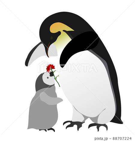 ペンギンの親子のイラスト素材