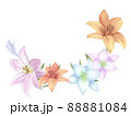 ユリの花 水彩フレーム背景のイラスト素材 [88881081] - PIXTA