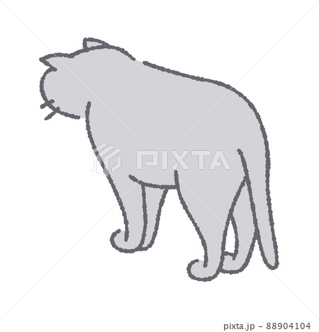 猫 後ろ姿のイラスト素材