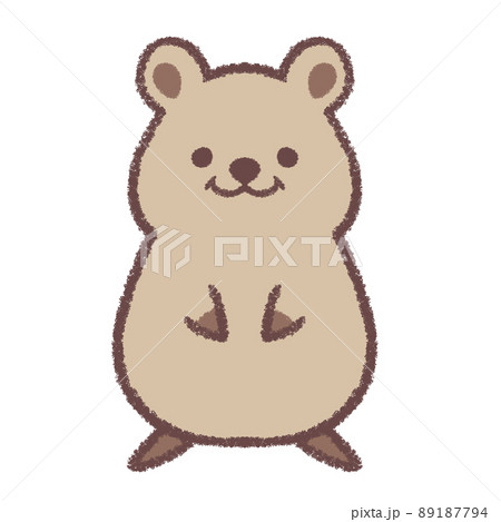 カンガルーのイラスト素材集 ピクスタ