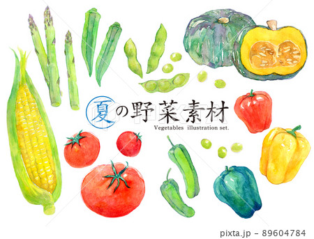 夏野菜のイラスト素材