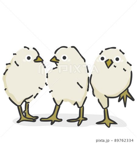 ひよこ 鳥 かわいい 手書きのイラスト素材