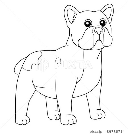犬 フレンチブルドック ぬりえ 動物のイラスト素材