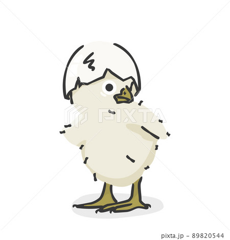 ひよこ 鳥 かわいい 手書きのイラスト素材