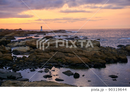 岩礁帯の写真素材