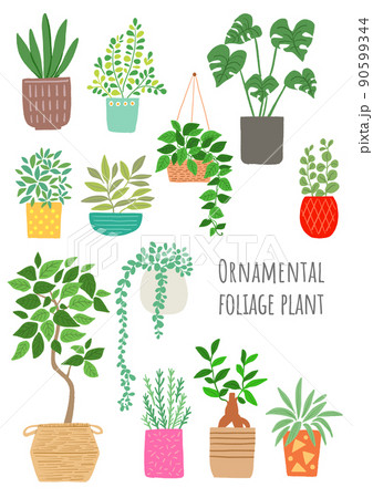多肉植物のイラスト素材