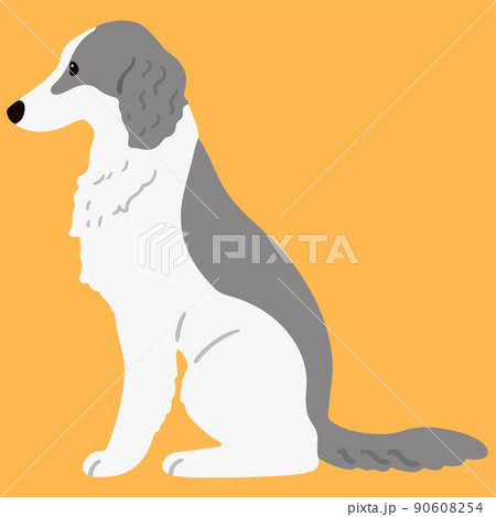 ボルゾイのイラスト素材