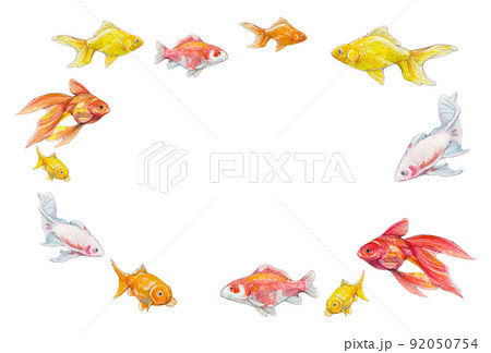 鯉 イラスト かわいいのイラスト素材