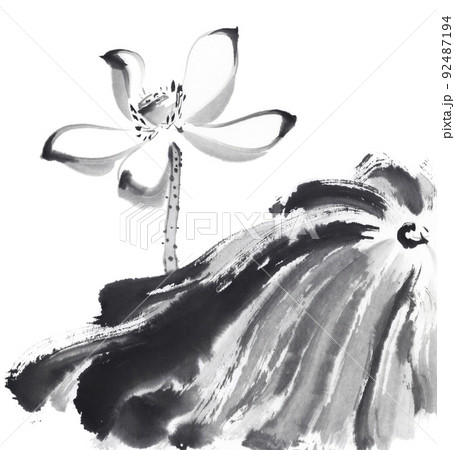 蓮 水墨画 墨絵 花のイラスト素材 - PIXTA