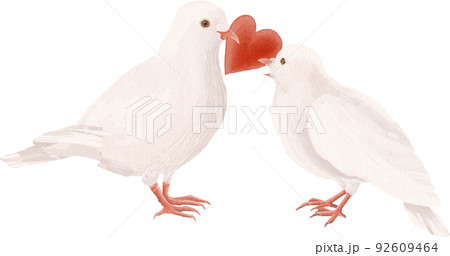ハト 鳩 のイラスト素材集 ピクスタ