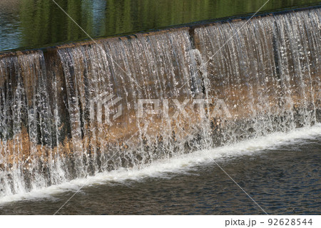 View of Two Freshwater Common Rudd Fish on Black Fishing Net and