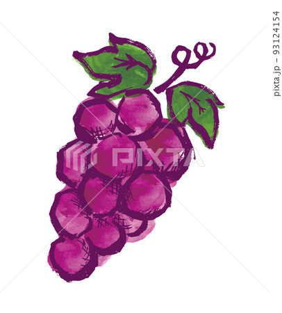 フルーツ ブドウ 紫色 手書きのイラスト素材