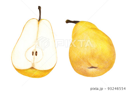 オーロラ 色鉛筆画のイラスト素材