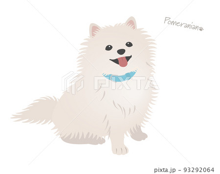 ポメラニアンのイラスト素材集 ピクスタ