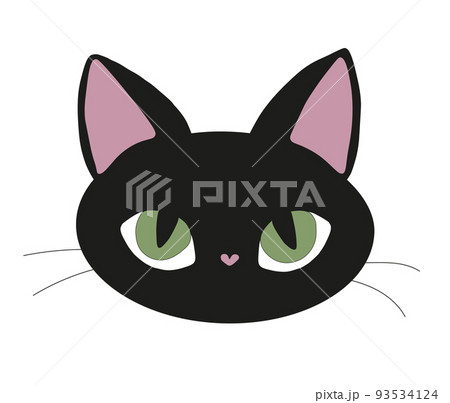 クロネコ 黒猫 目 眼のイラスト素材