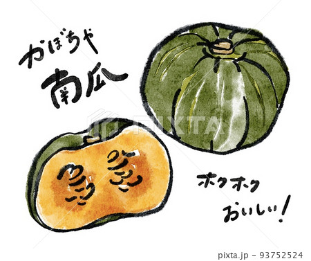 墨絵 かぼちゃ 野菜 日本画のイラスト素材 - PIXTA