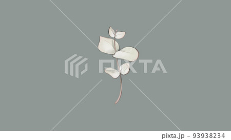 ドライフラワー イラストのイラスト素材 ドライフラワー イラストのイラスト素材