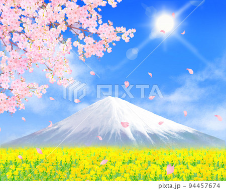 富士山 春 桜 菜の花のイラスト素材 - PIXTA