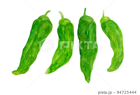 絵画 とうがらし 絵画 とうがらし