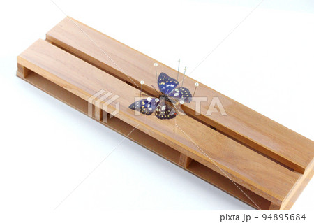 展翅板の写真素材 - PIXTA