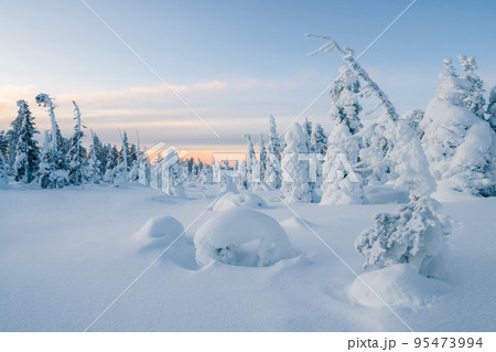 Smiling blonde woman in winter clothes hands near face in snowy