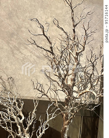 いけばなに使用した枯れ木 中古オブジェ いけばなに使用した枯れ木