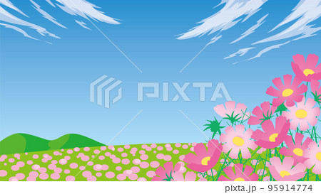 コスモス咲く野原の写真素材 - PIXTA