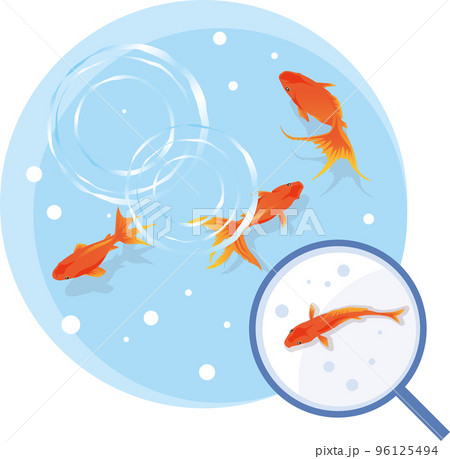 Og Fcpjlflu6vm Og Fcpjlflu6vm