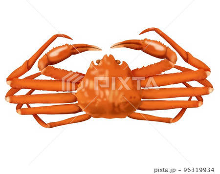 カニ 蟹 のイラスト素材集 ピクスタ