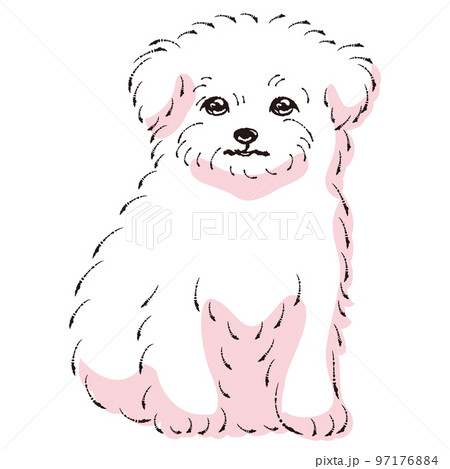 【kazu】 鉛筆画 犬 チワワ マルチーズ 手描き イラスト 原画 kazu】 鉛筆画 犬 チワワ マルチーズ 手描き イラスト 原画 kazu
