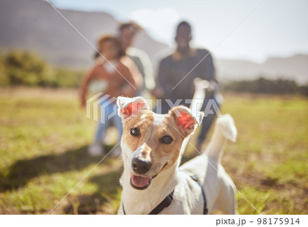 Group of friends, young people, men and women in comfortable