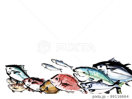 メバルイラストのイラスト素材 - PIXTA