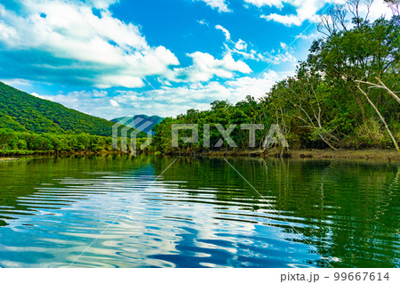 河口汽水域の写真素材 - PIXTA