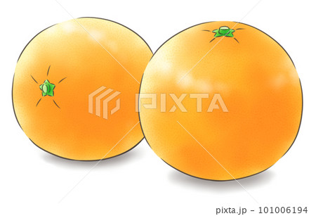 Leafless hassaku and sideways hassaku (with - Stock