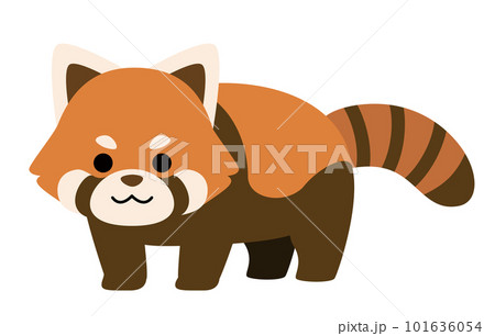 レッサーパンダ イラストのイラスト素材 - PIXTA